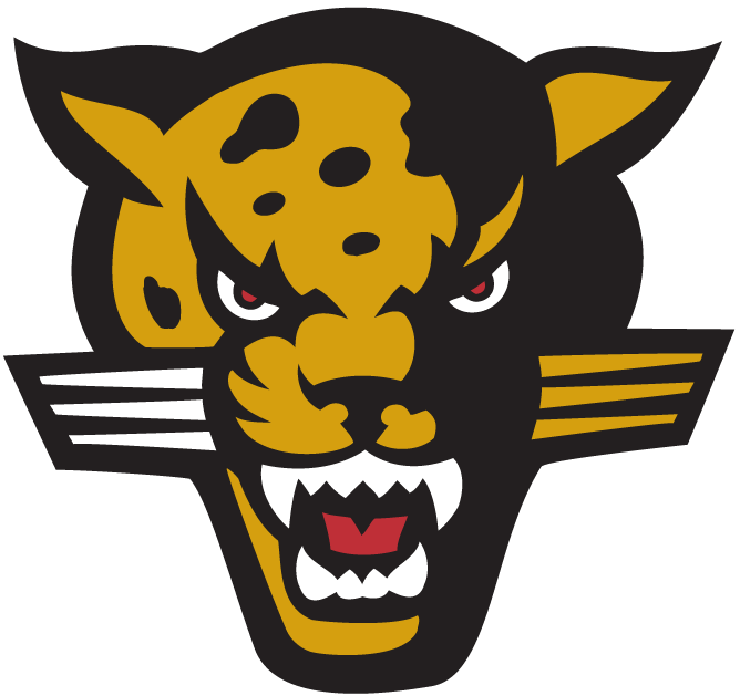 IUPUI Jaguars 2002-2007 Alternate Logo v2 diy DTF decal sticker